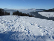 Tote Mann am 31.1.2011: Blick nach Westen �ber den Ahornkopf zu Hofsgrund und Nebel und Schauinsland (rechts)