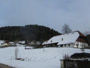 Blick nach Osten zum Metzgerbauernhof am 24.1.2011