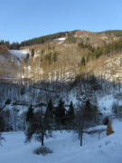 Blick nach Westen zum Wolfhof am 4.1.2011