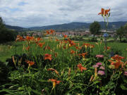 Giersberg am 18.6.2011: Blick nach Nordwesten �ber Kirchzarten bis FR