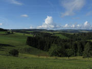 Blick vom Neuh�usle nach S�den zu den Schweigh�fen am 15.6.2011