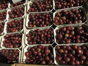 Rote Stachelbeeren am 28.6.2011 auf dem M�nstermarkt
