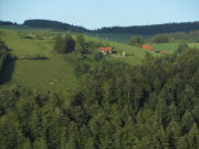 Steigweg am 18.7.2011: Tele-Blick nach Osten zum Laberholz - Thomashof hinten