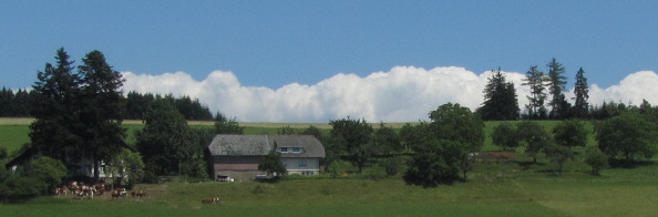 Blick nach Osten zum Langenhof am 5.7.2011