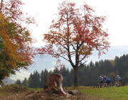 Sattel bei Schwärzlehofkapelle 1.11.11: Blick nach Osten - Biker auf dem Weg zum Lindenberg