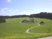 Kaiserhof im Mai 2003 - blühende Löwenzahnwiesen