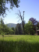 Blick nach Süden zum Storchennest im Ebneter Schlosspark mit Kybfelsen an Pfingsten 2005