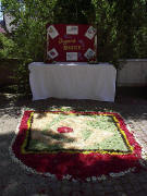 Blumenteppich bei der Ebneter Schule am 26.5.2005