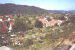 laubenhof.jpg (32471 Byte)