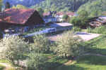 rosenstihl-2.jpg (45981 Byte)