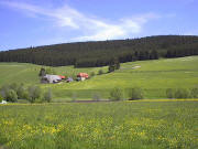 Mattenbauernhof im Jostal Mai 2003 - blühende Wiesen