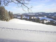 Blick vom Willmendobel ob St.Peter auf St.M�rgen (links) und Schweigh�fe (rechts oben) am 1.2.2004