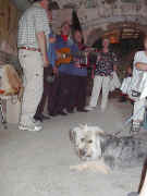 hock050724-3.jpg (60358 Byte)