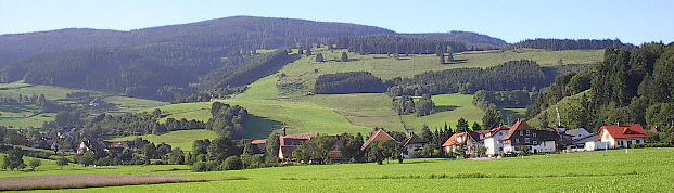 Oberried (rechts) mit Vörlinsbach (links) von Norden aus